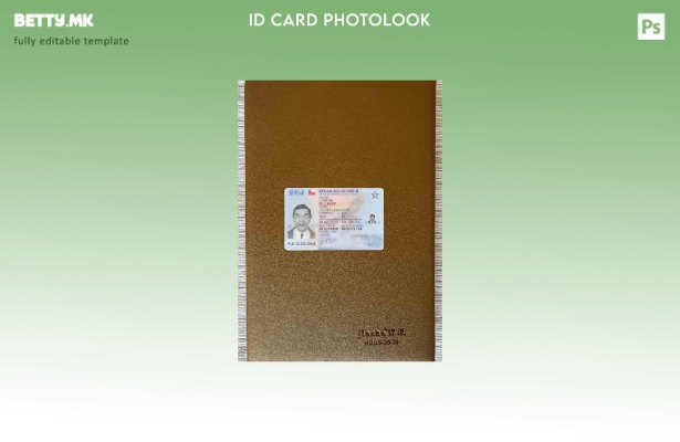 модерен стил Chile ID photolook ПРЕДЕН шаблон